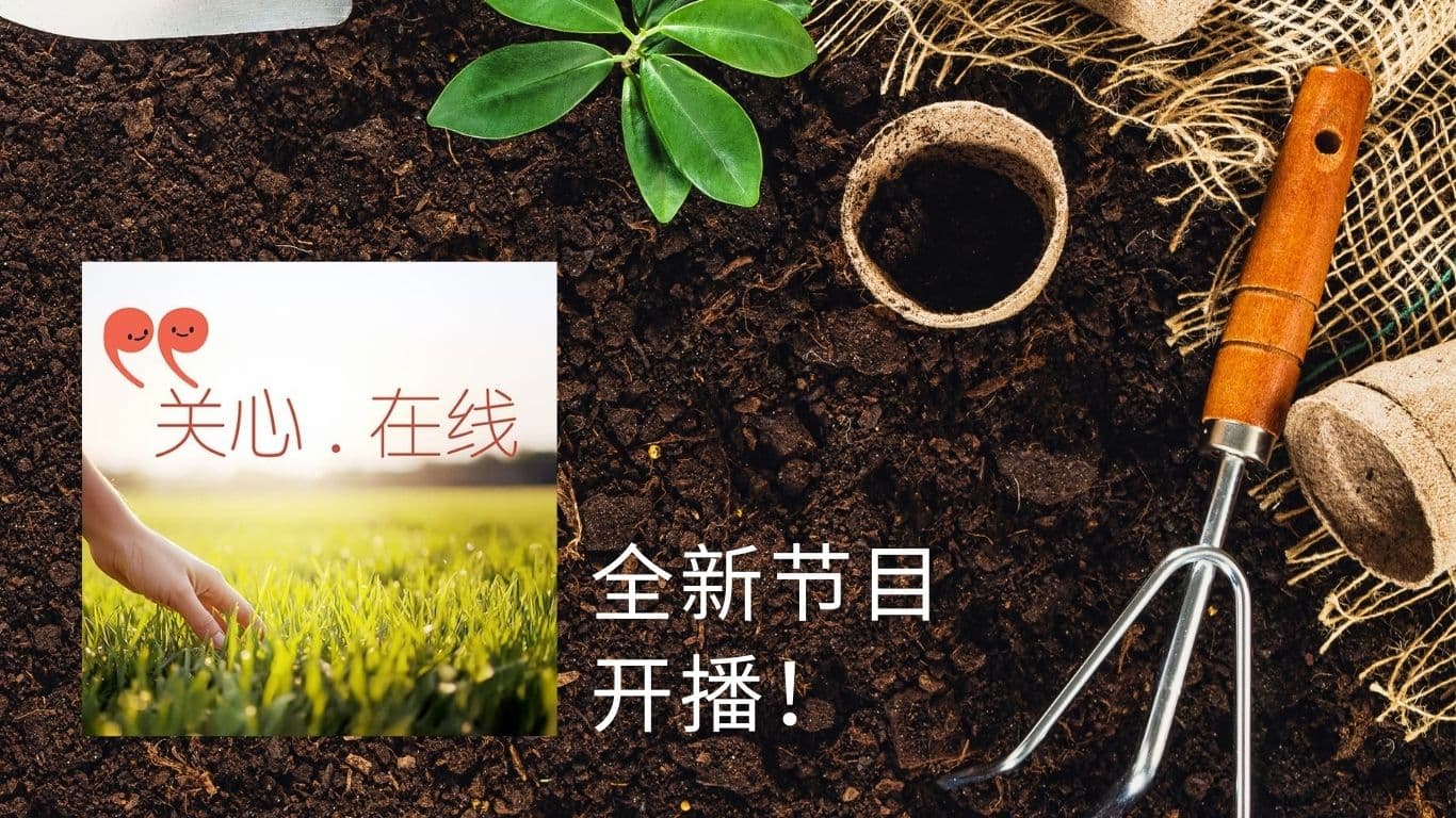 全新节目《关心.在线》开播！