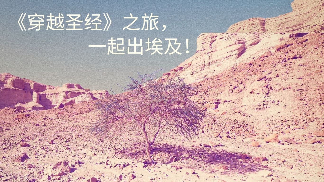 《穿越圣经》之旅，一起出埃及！